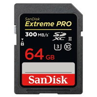 SanDisk SDXCカード SDSDXPK-064G-JNJIP